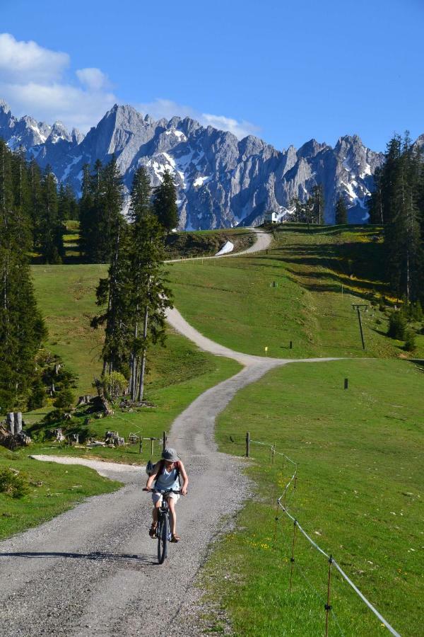 Pension Edelweiss Top21 Гозау Экстерьер фото