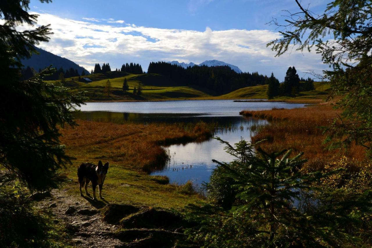 Pension Edelweiss Top21 Гозау Экстерьер фото