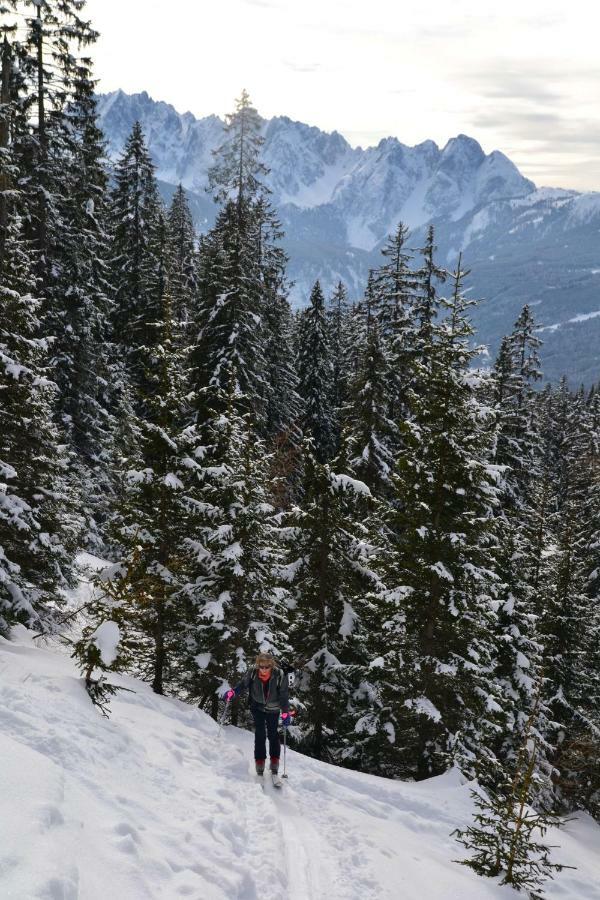Pension Edelweiss Top21 Гозау Экстерьер фото