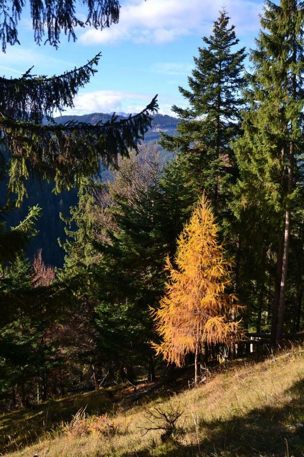 Pension Edelweiss Top21 Гозау Экстерьер фото