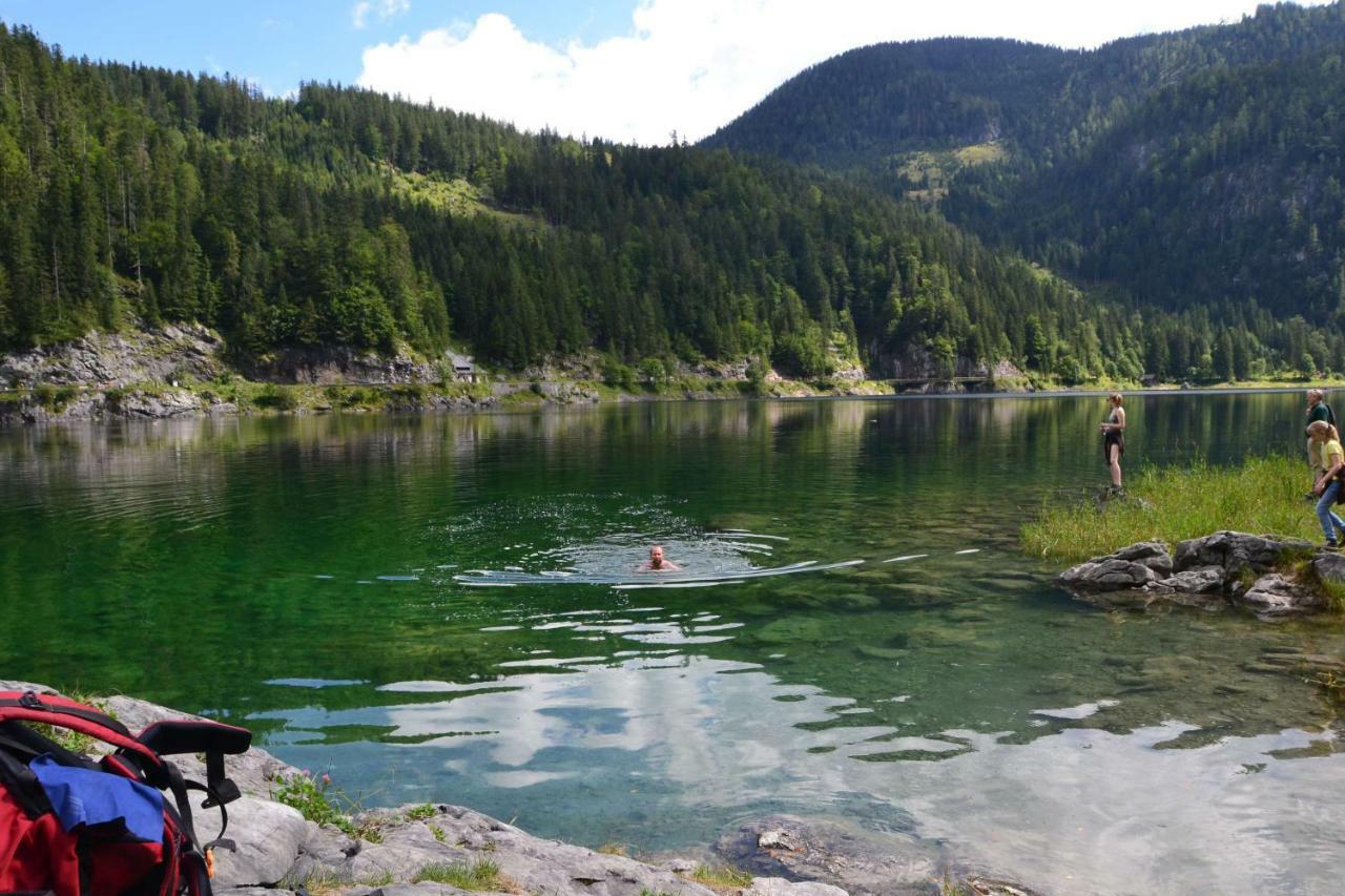 Pension Edelweiss Top21 Гозау Экстерьер фото